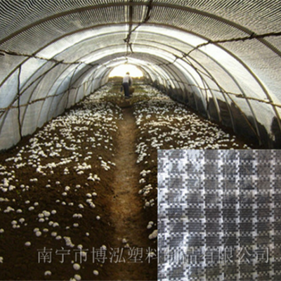南宁华象牌耐用三年黑白格布 黑白格布蘑菇养殖棚布批发