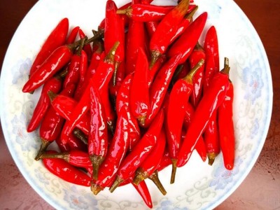 广西红辣椒批发，广西红辣椒厂家，广西红辣椒价格