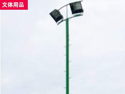 广西南宁爬梯球场灯杆 照明灯杆 大小管球场灯杆厂家