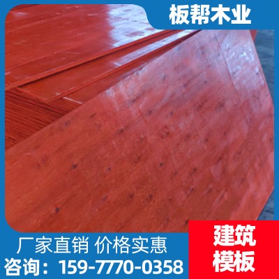 建筑模板厂 广西建筑模板桉木供应 模板花板批发 五合板供应