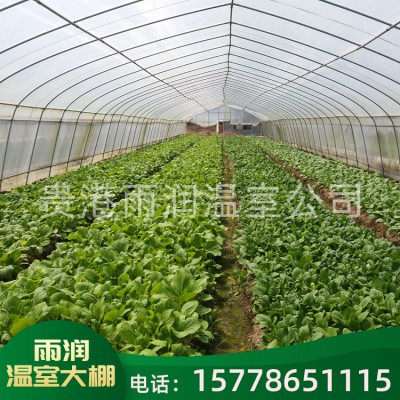 蔬菜大棚 农业种植温室大棚 安全温度可控 蔬菜温室大棚造价