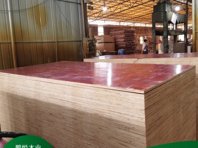 建筑模板批发 工地建筑模板 12mm建筑模板 工程建筑专用模板