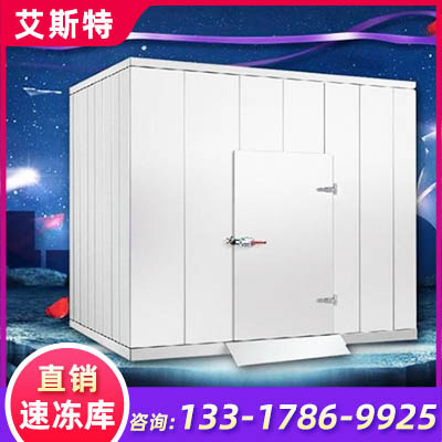 速冻冷库 超低温冷冻机组 速冻冷库设备安装