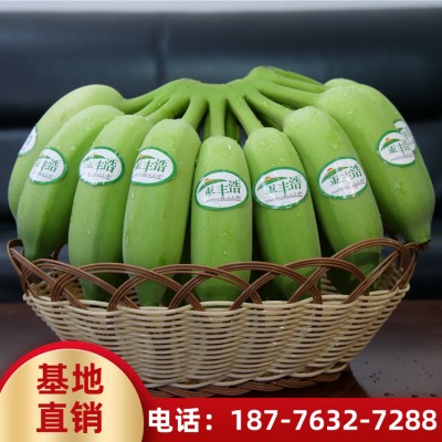 新鲜香蕉批发 水果批发 海南香蕉价格