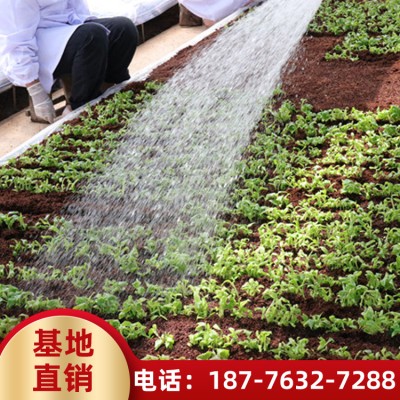 广西有机肥厂家 肥肥料供应 种植肥料采购 品质保障