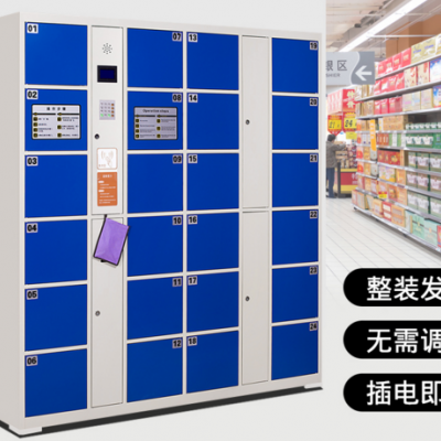 南宁超市存包柜 智能电子储物柜 指纹识别手机柜 商场寄存柜微信柜子