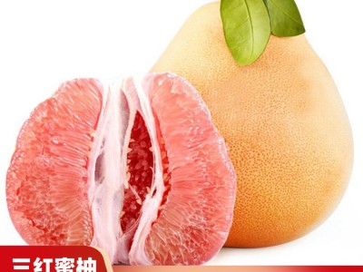 广西柚子生产厂家 求购红心柚子 平和蜜柚 价格实惠