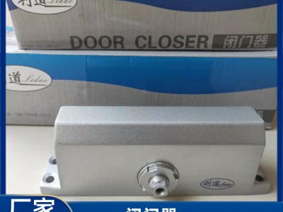 广西闭门器生产厂家 高强度住宅用门电动闭门器 闭门器价格