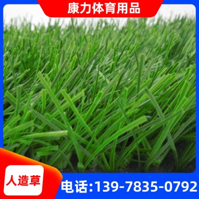 桂林市七星区人造草坪 操场人造草皮 足球场人造草坪厂家