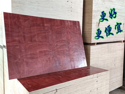 建筑模板 广西模板全一级过胶模板  优质模板推荐