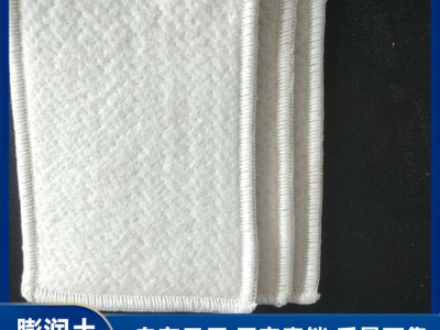广西防水毯生产厂家 优质防水毯批发 供应防水毯价格