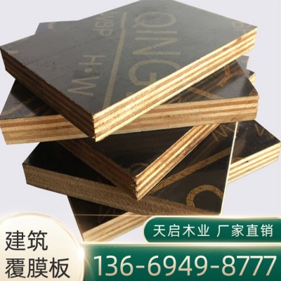 天启木业 全桉木整芯 多层建筑模板 广西建筑模板价格 厂价直销