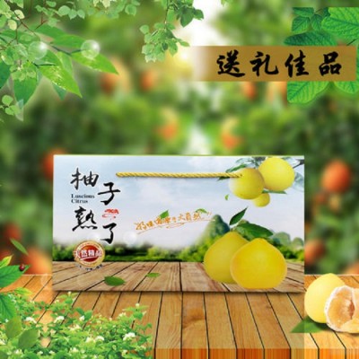 沙田柚纸箱定制柚子蜜柚水果礼品盒包装盒南宁厂家定做批发