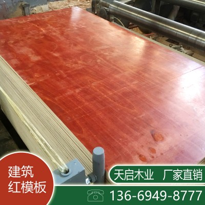 广西贵港建筑模板 质量保证 价格从优 红板夹板覆膜板