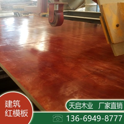 广东建筑模板厂家 天启木业 建筑红板 覆膜板 清水模板 板面平整 不易变形