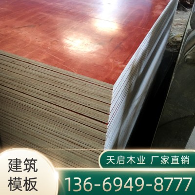 厂家批发 12mm高密度建筑模板 木工胶合板 胶合板价格