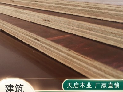柳州建筑模板批发 7层建筑模板 天启木业 厂家批发