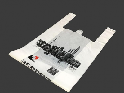 广西手提购物袋定制 供应袋子生产订做 包装购物袋批发 厂家直发