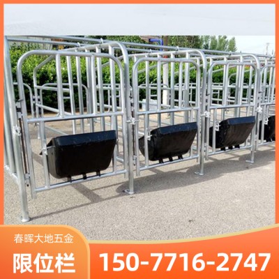 养猪设备  猪产床双用 限位栏 南宁限位栏厂家提供