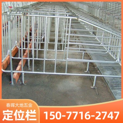 玉林母猪产床批发 铸铁母猪产床 单双体厂家 产床保育一体 广西定位栏