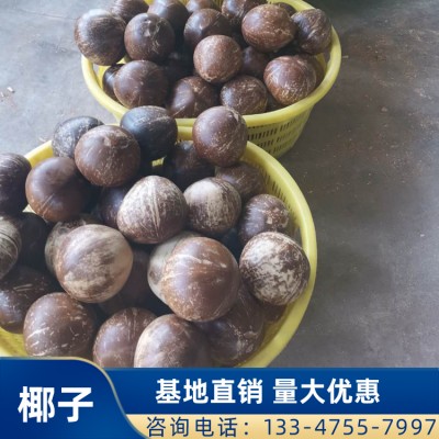海南椰子价格 新鲜当季水果椰子批发 基地直销