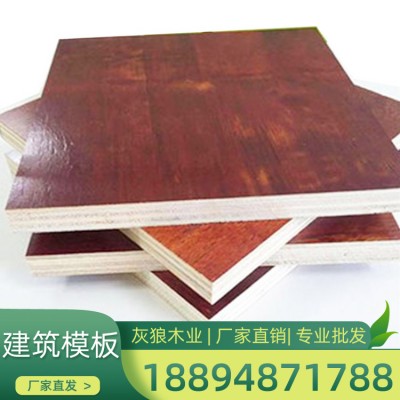 胶合板实力厂家  惠州建筑专用模板 坚固耐用 灰狼木业