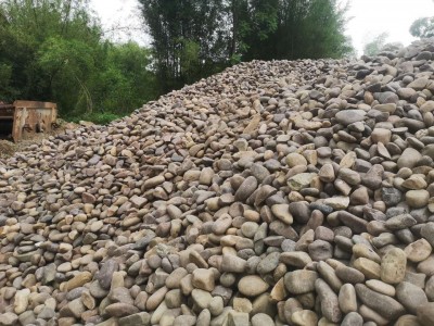 广西优质天然鹅卵石 风景石 建筑用石 批发直销