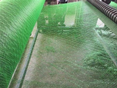 柳州三维网厂家  三维网垫 能业物资  挂网喷播植草
