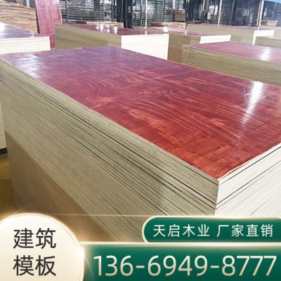 广西建筑模板厂家 天启木业 建筑木模板批发 直销胶合板