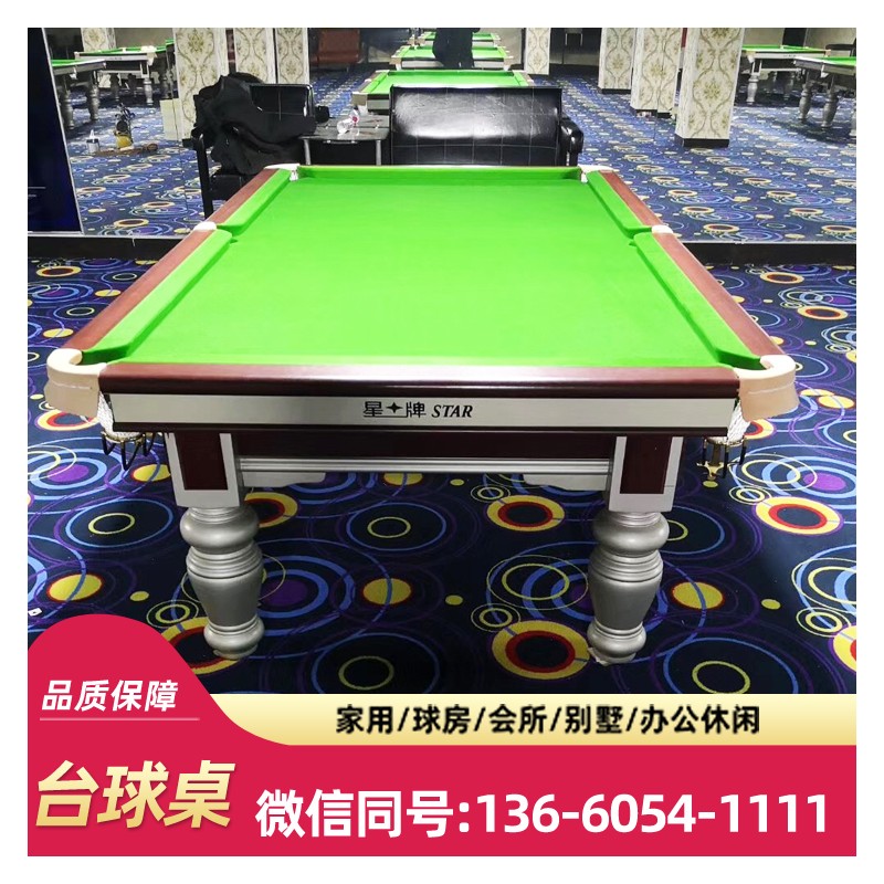台球室专用桌球桌 星牌台球桌 标准英式台球桌