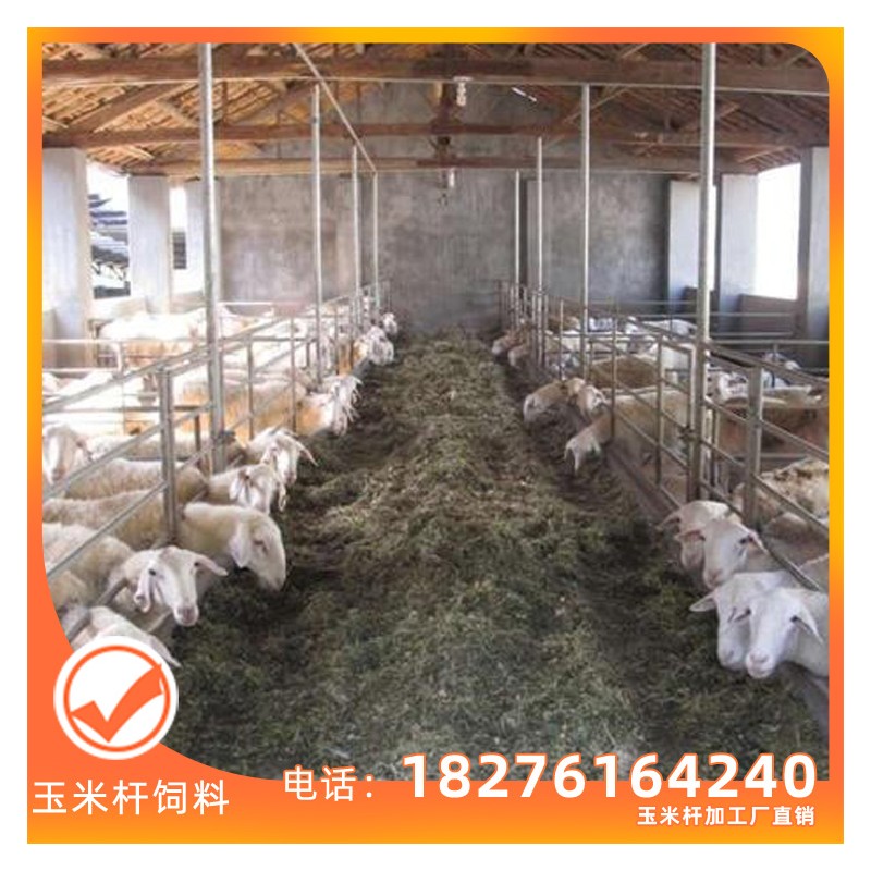 广西玉米秆 玉米杆加工厂 玉米杆批发 牛羊饲料 厂家直销