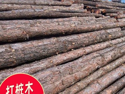 南宁打桩木厂家 工地打桩木供应 松木木材 建筑木桩批发