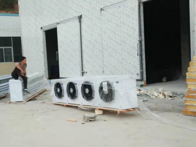 柳州制冷设备安装 专业冷库安装公司 保鲜蔬菜冷库