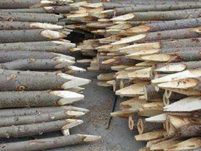 松木桩 工地建筑木方 厂家报价 有现货 可定做批发