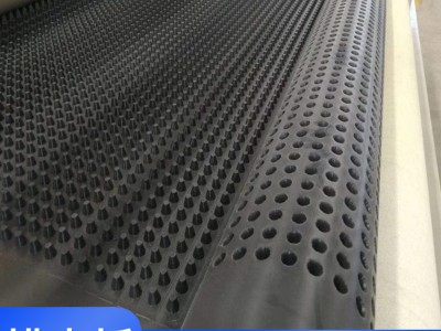 柳州排水板 HDPE排水板价格 聚乙烯蓄排水板生产厂家供应