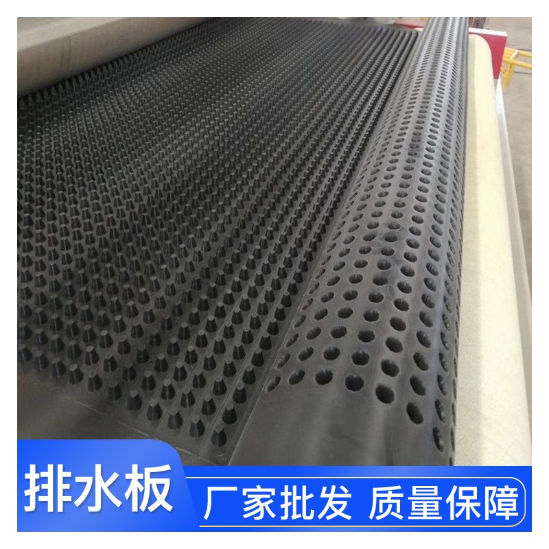 柳州排水板 HDPE排水板价格 聚乙烯蓄排水板生产厂家供应