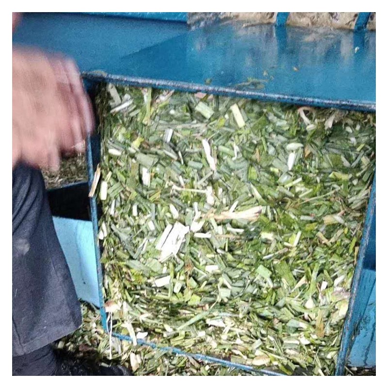 广西柳州青贮饲料厂家 发酵草料干玉米秸秆直销 青贮玉米桔梗草料价格