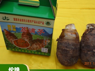 新鲜桂林荔浦芋头 优质芋头价格 保鲜价格好