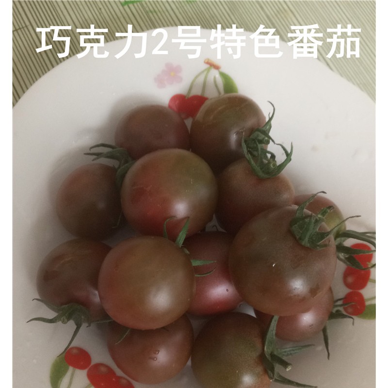 巧克力2号特色口感番茄种子 小紫番茄种子 含花青素高 西红柿种子批发