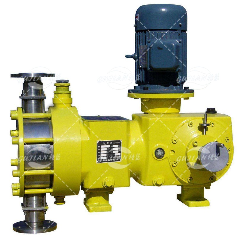 广西 计量泵 水处理耗材 净水测量设备 净水设备配件 DJ-D型 机械驱动 隔膜式计量泵 多材质 可定做