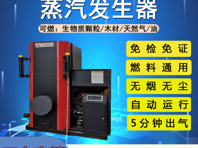 三噸生物質蒸氣鍋爐 生物質蒸汽發生器廠家直銷 柳州鍋爐價格