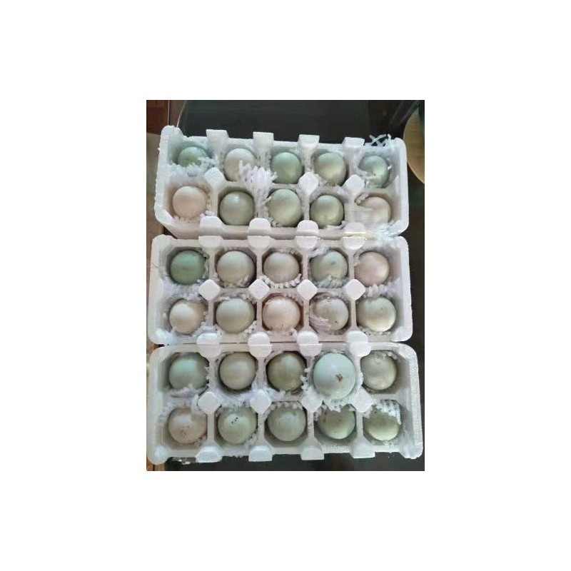 北部湾北海鲜海鸭蛋初产蛋单枚50-62克 北海鲜鸭蛋销售厂家
