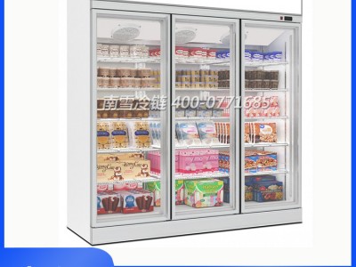 广西钦州超市冷冻柜定制 便利店冷冻柜 冷冻柜价格