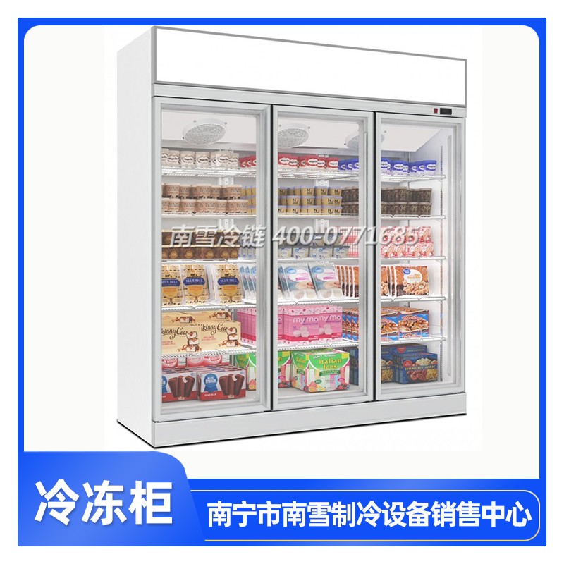 广西钦州超市冷冻柜定制 便利店冷冻柜 冷冻柜价格