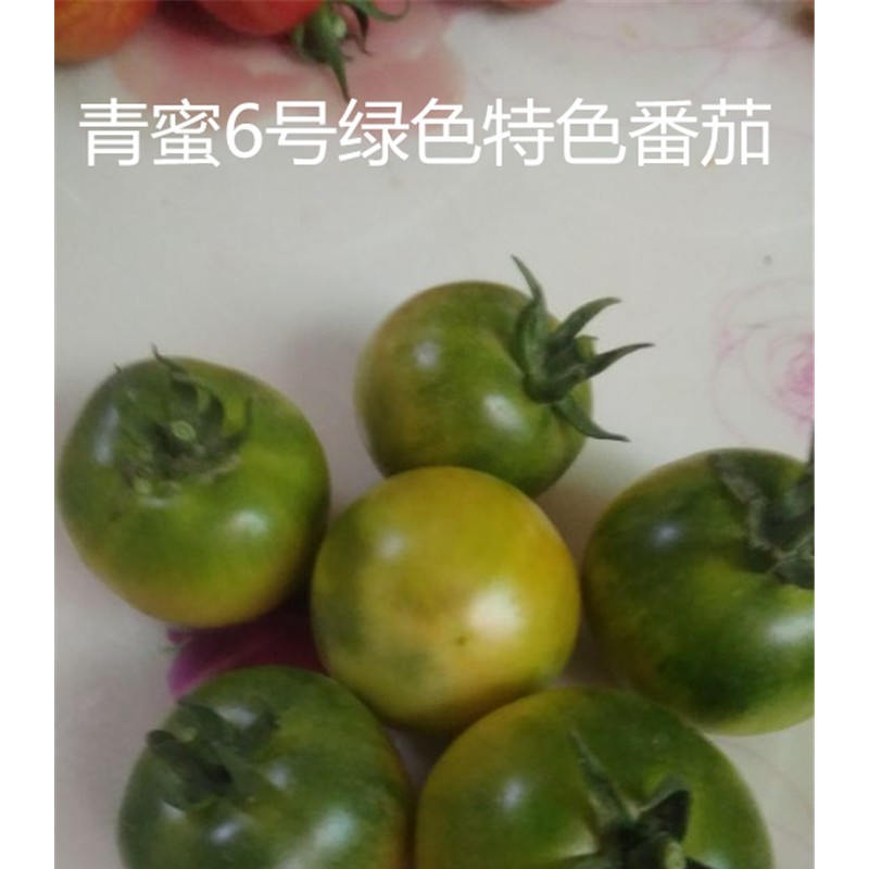 青蜜6号绿色特色番茄种子 绿番茄种子 西红柿种子批发 特色口感番茄