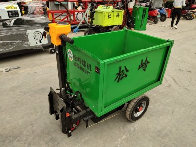 桂林环保工程电动三轮车批发  供应电动三轮车厂家