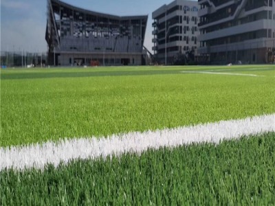 广西学校足球场人造草坪 新国标人造草坪直供 人造草坪施工