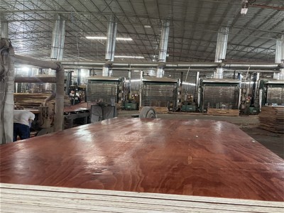 广西贵港木模板 房建板材 松桉木结合强度高 价格优惠