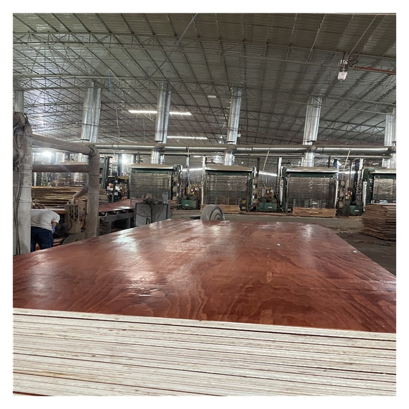 广西贵港木模板 房建板材 松桉木结合强度高 价格优惠