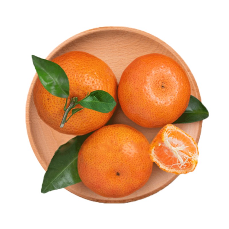 优质广西砂糖橘供应 价格便宜 果形好 颜色靓